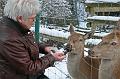 Bayerwald Tierpark_20